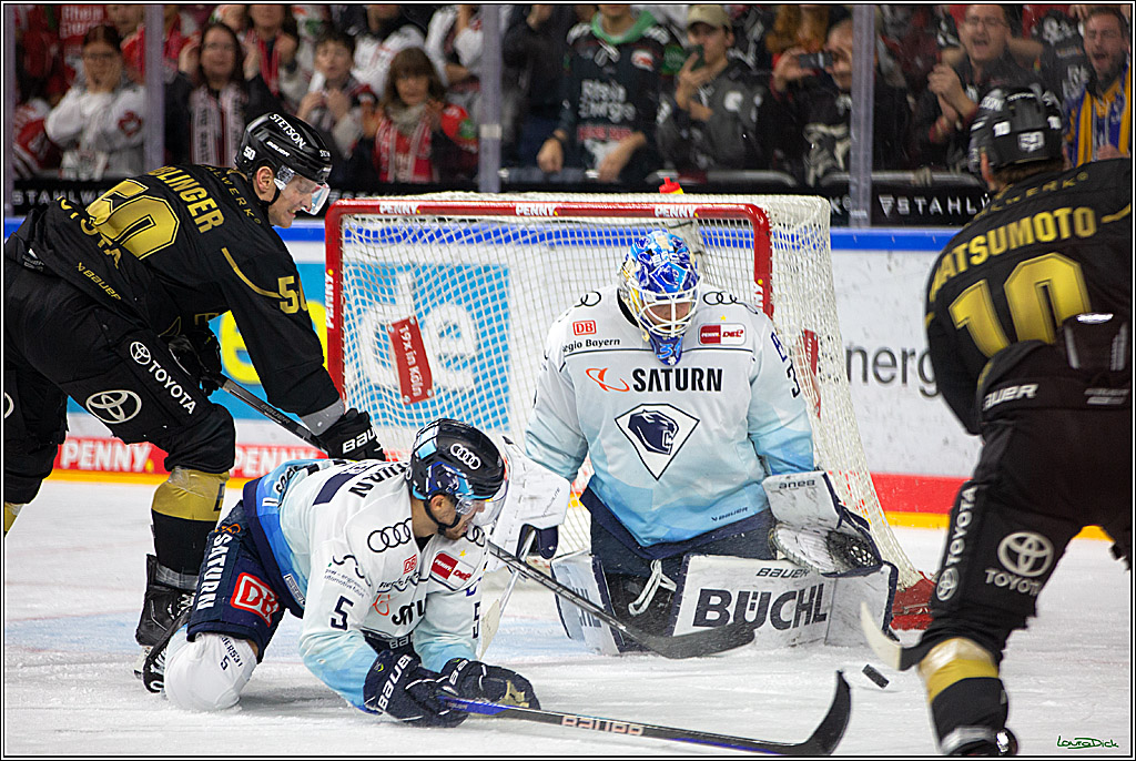 PENNY DEL;  Kölner Haie - ERC Ingolstadt; Köln, 25.11.2022